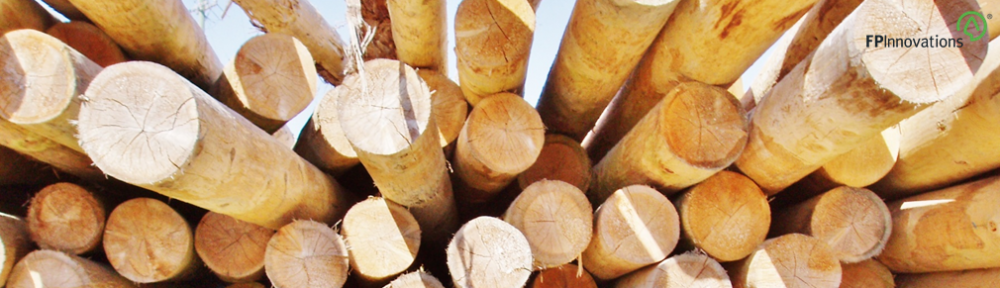 Forestry Resources on the Web