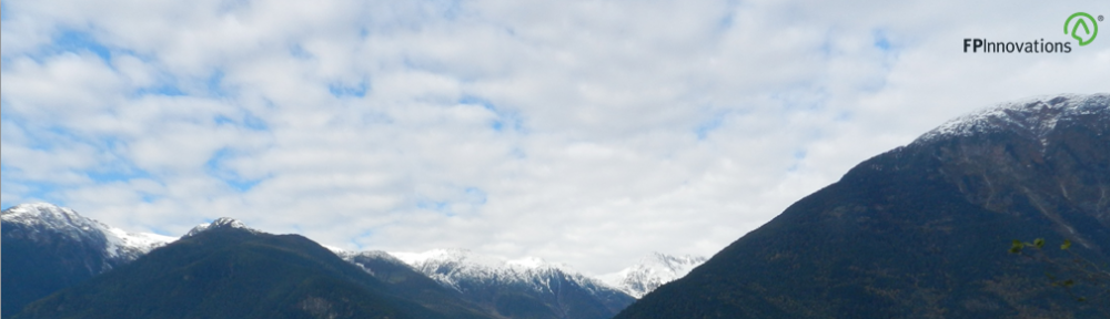 Forestry Resources on the Web